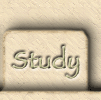 Study