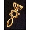 Collar Pin, Messianic Roots Lapel Pin